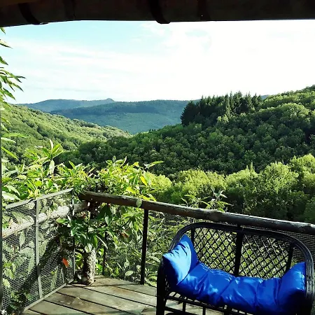 Le Vertige Du Tigre *